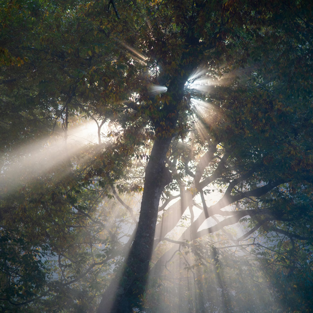 Background behind the birth of Prosperity Japan / Prosperity Japanが生まれた背景