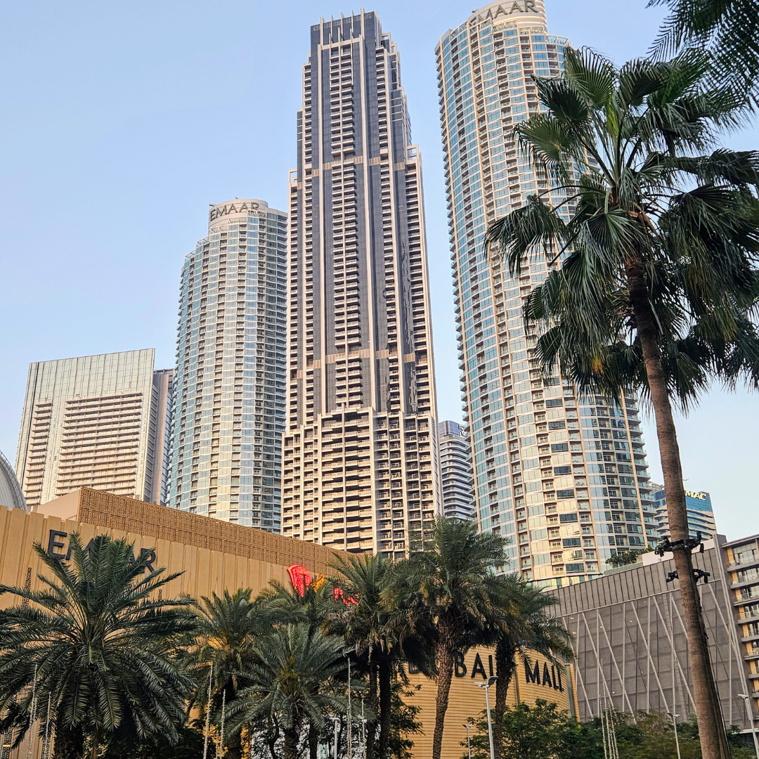 The Practical Barriers We Faced Immediately After Our Founding / 会社設立早々に立ちはだかった現実的な壁