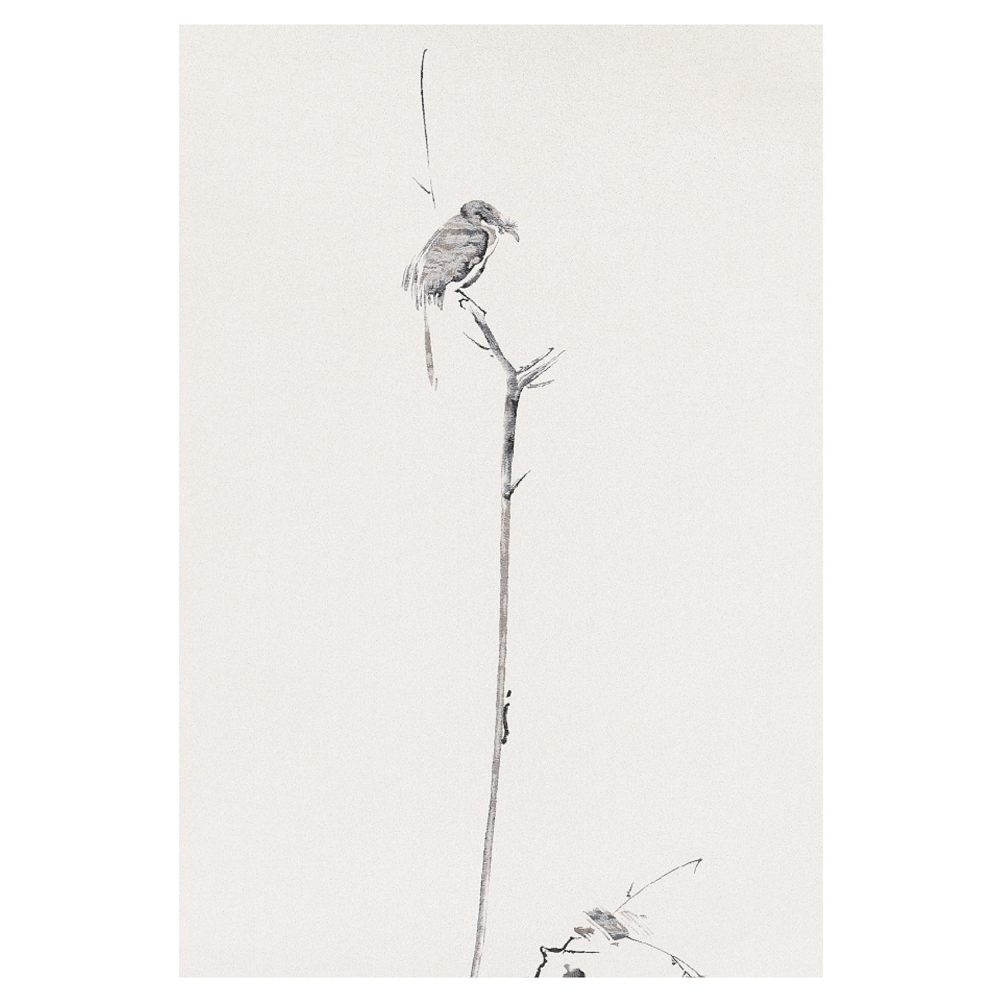 Kingfisheron a Withered Branch / Miyamoto Musashi